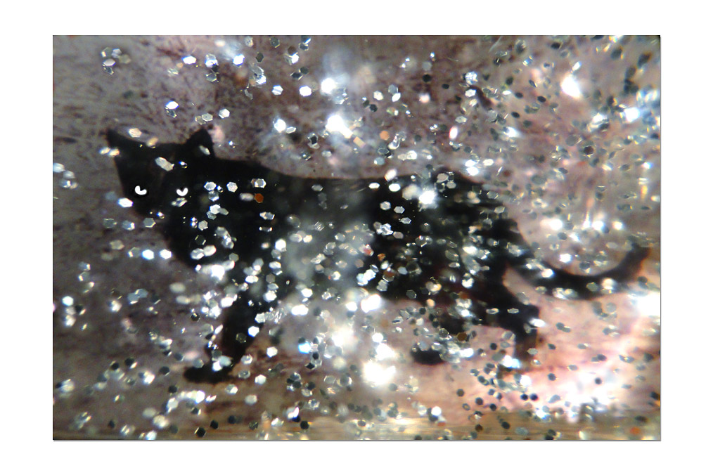 Kitty Kino (*1948), "Sternzeichen Katze"