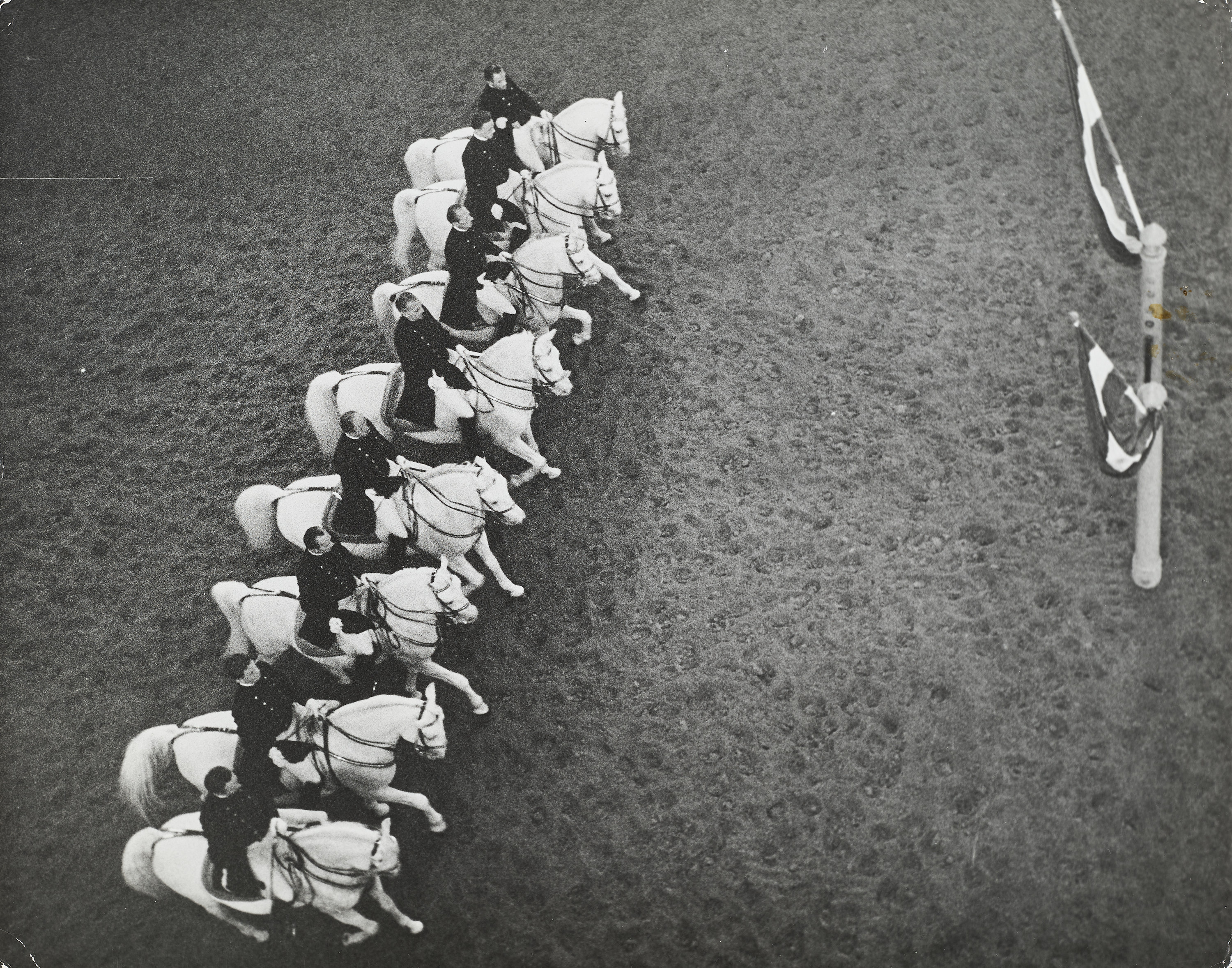 FRANZ HUBMANN (1914–2007) - Spanische Hofreitschule (Spanish Riding school), Vienna c.1960
