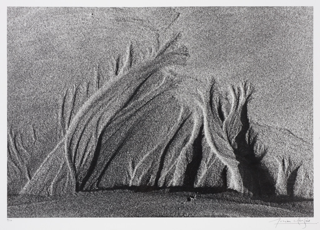 LUCIEN CLERGUE (* 1934) ‘Fleur de Sables’ (Sandblumen / Sand flowers), Camargue 1979