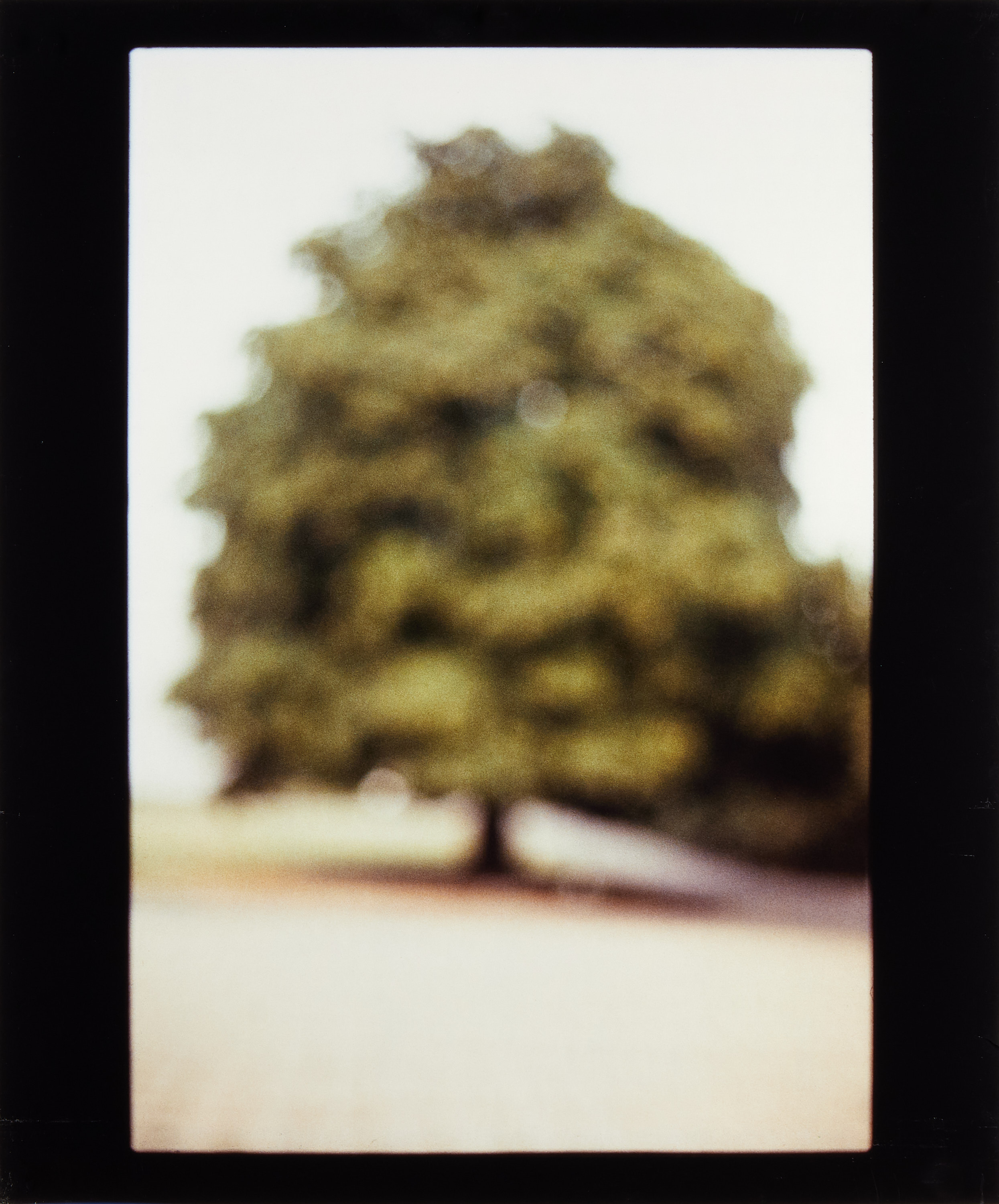 DAVID ARMSTRONG (1956–2014) -"Arbor" Portofolio with six Cibachrome prints, 1999