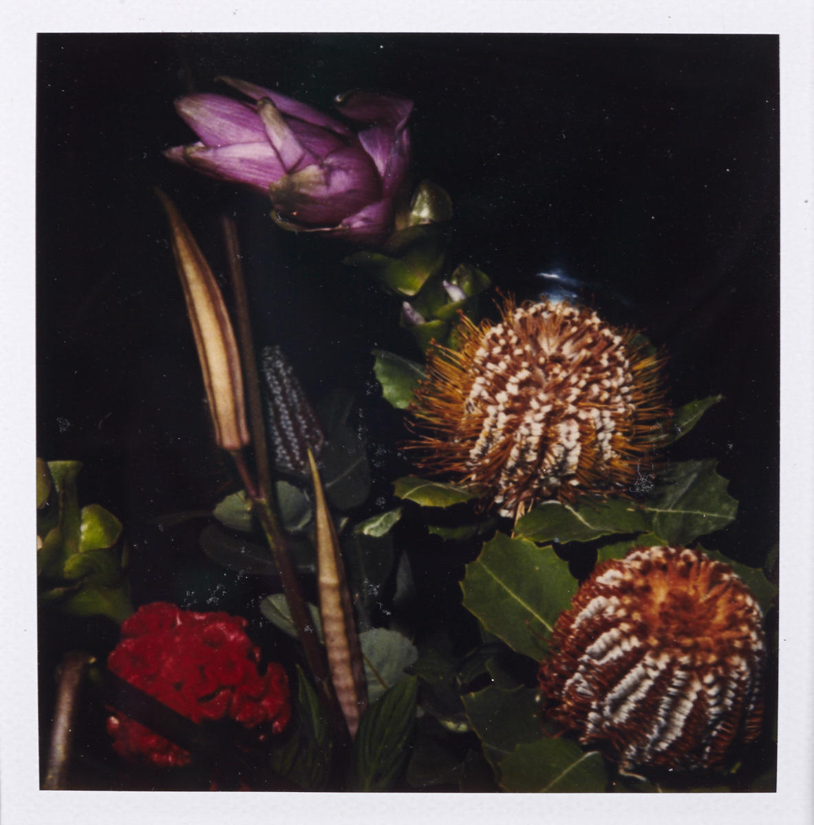 NOBUYOSHI ARAKI (* 1940) Ein Set von 25 Polaroids A set of 25