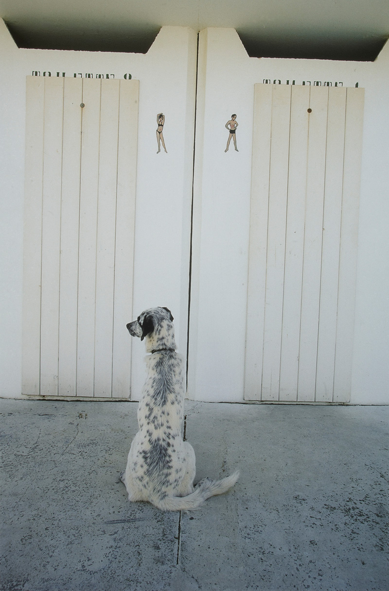 Born to be patient' , Toni Anzenberger (* 1969)