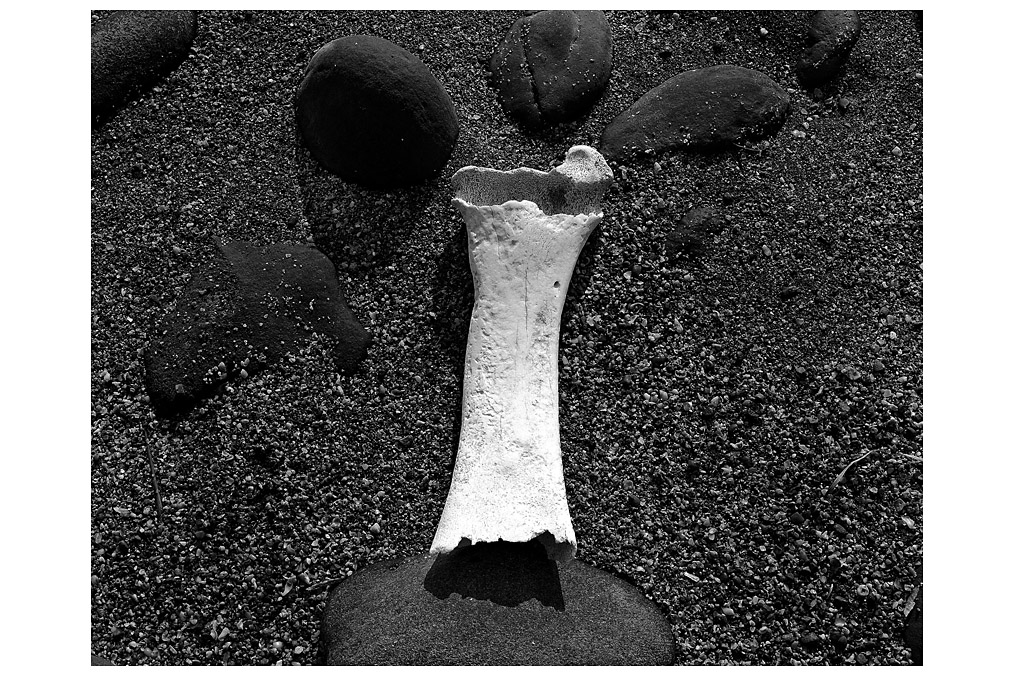 "Gerakas", Reinhart Mlineritsch (* 1950)