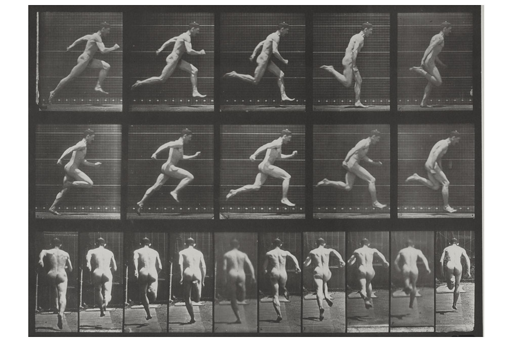 Plate 63 (from "Animal Locomotion"), Eadweard Muybridge (1830 - 1904)