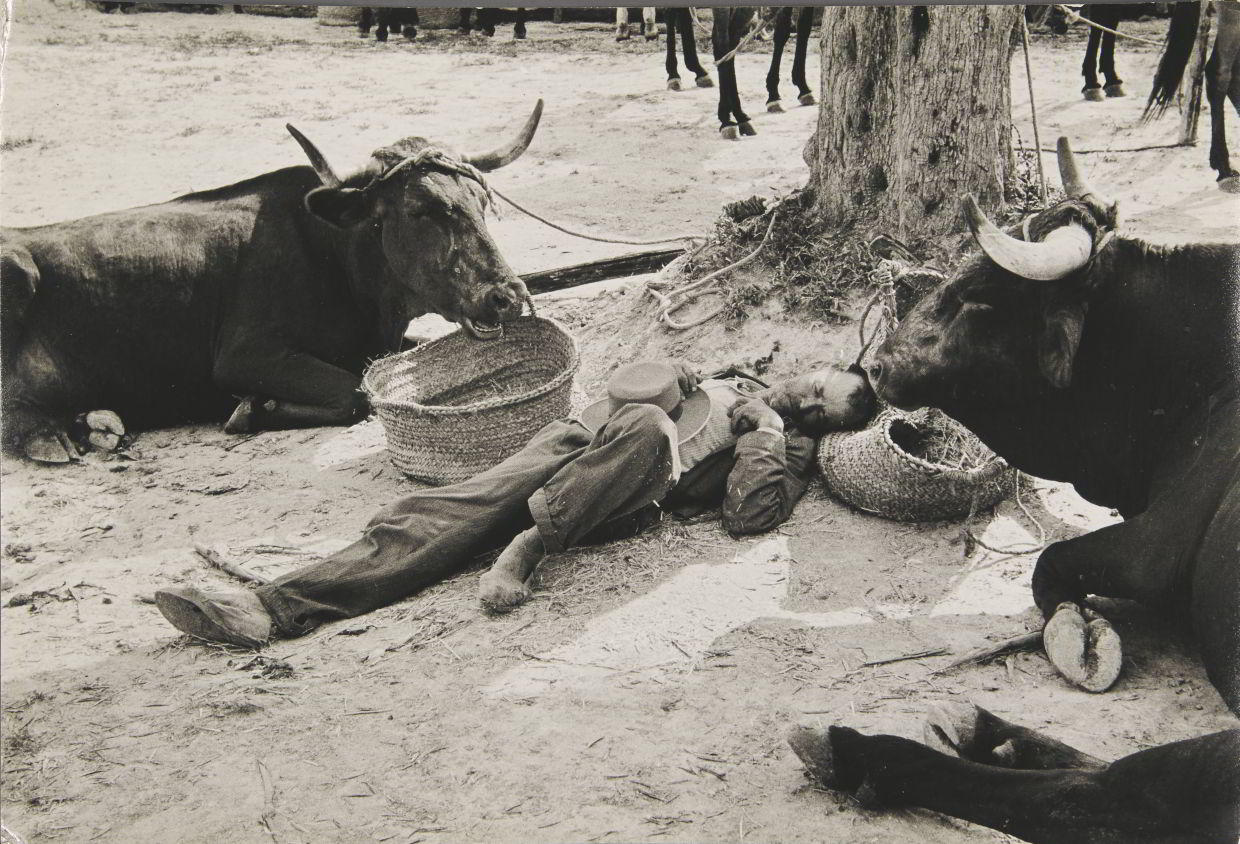 INGE MORATH (1923–2002) Pamplona, Spain 1960 INGE MORATH (1923–2002) Pamplona, Spain 1960