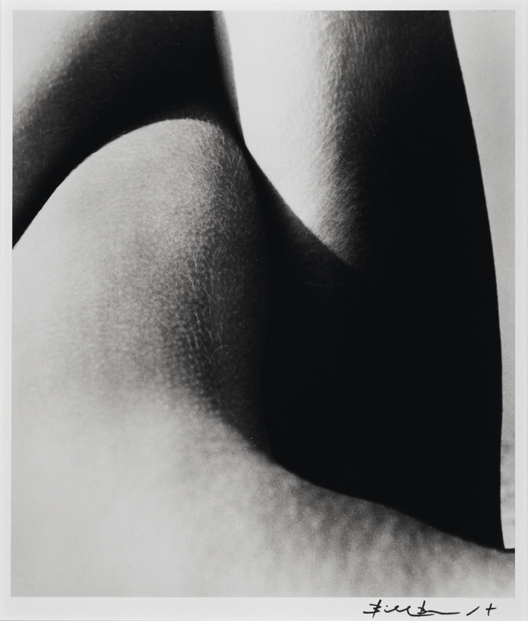 BILL BRANDT (1904–1983) Shoulder and Neck, 1959