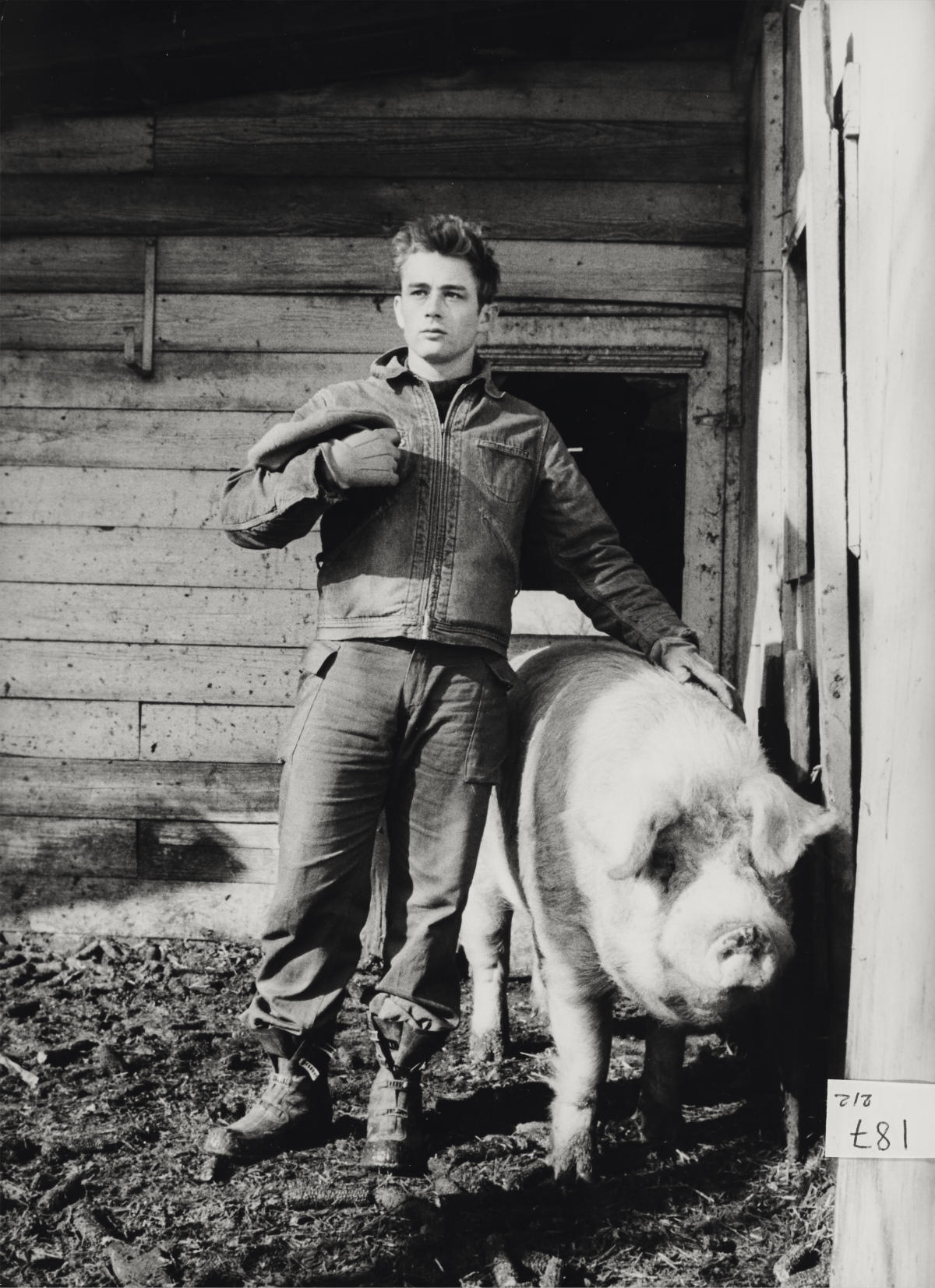 DENNIS STOCK (1928–2010) James Dean, Fairmount, Indiana 1955