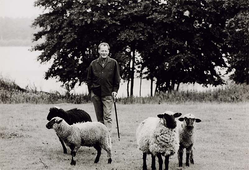 Thomas Hoepker (* 1936), Willy Brandt