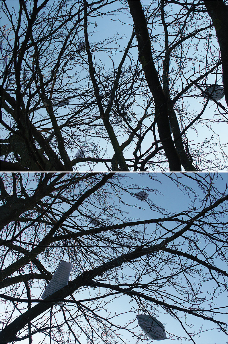 Oliver Ressler (* 1970), ›Fly Democracy‹