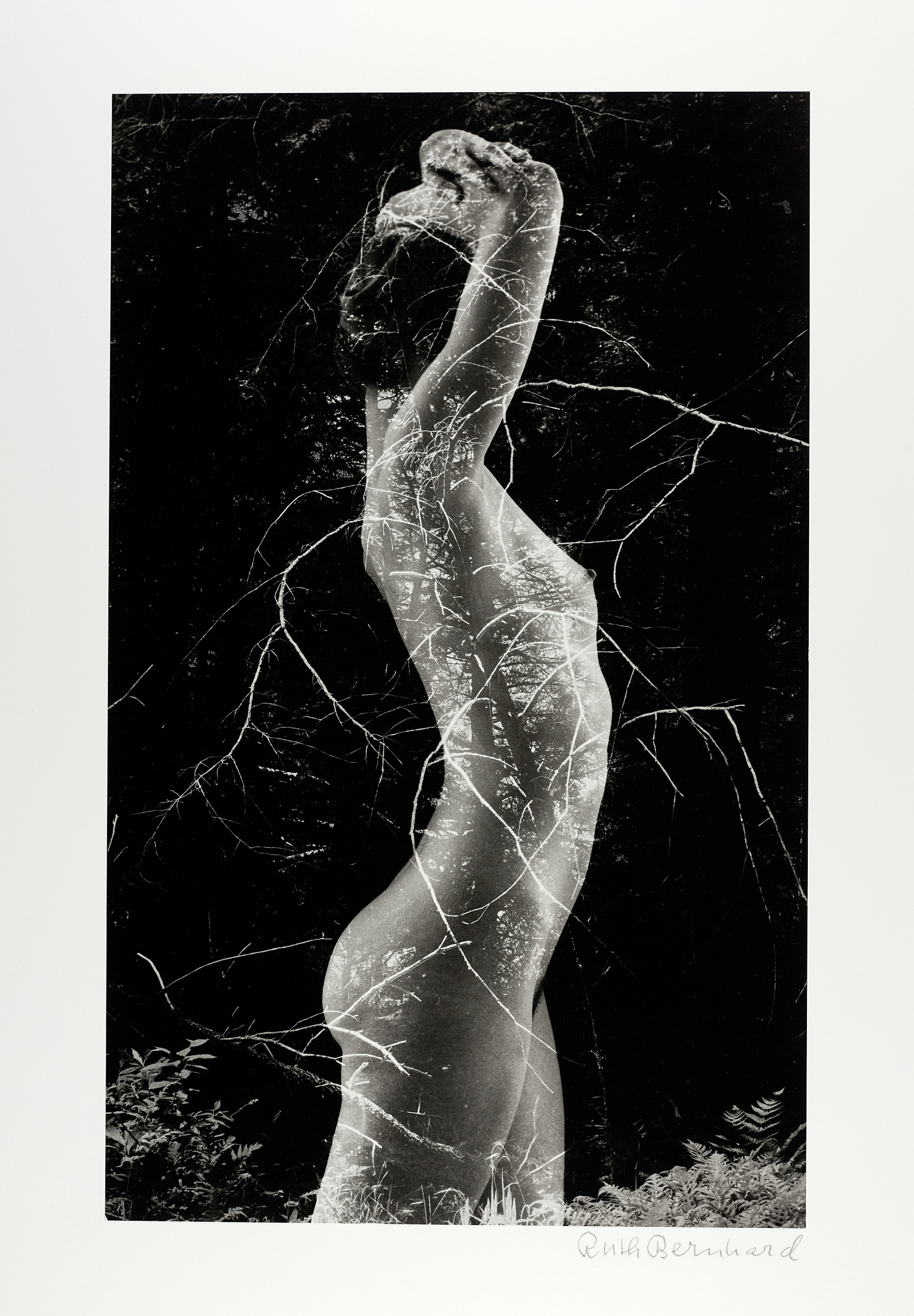 RUTH BERNHARD (1905–2006) - ‘Symbiosis’, 1971