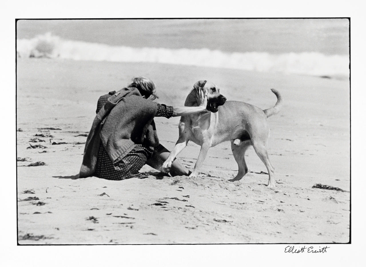 ELLIOTT ERWITT (* 1928) California, 1962