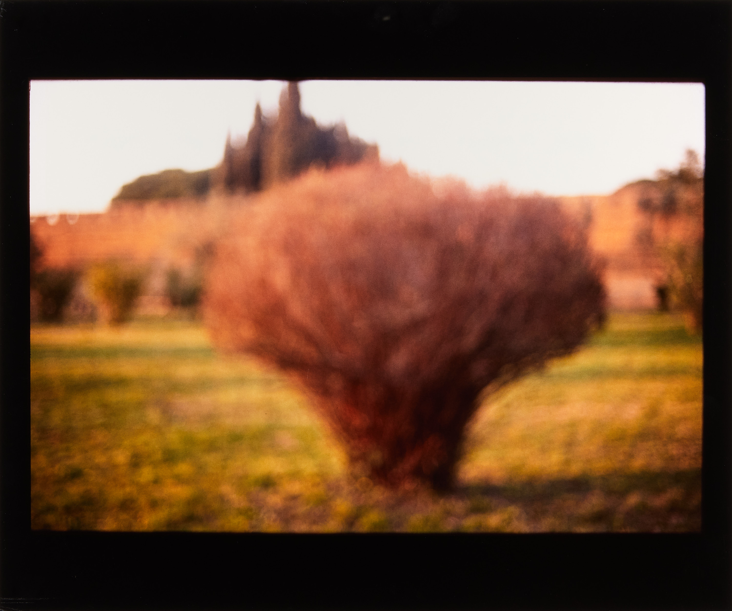 DAVID ARMSTRONG (1956–2014) -"Arbor" Portofolio with six Cibachrome prints, 1999