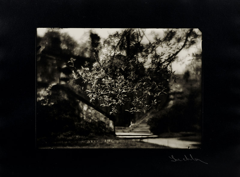 Josef Sudek (1896–1976), Prague Gardens