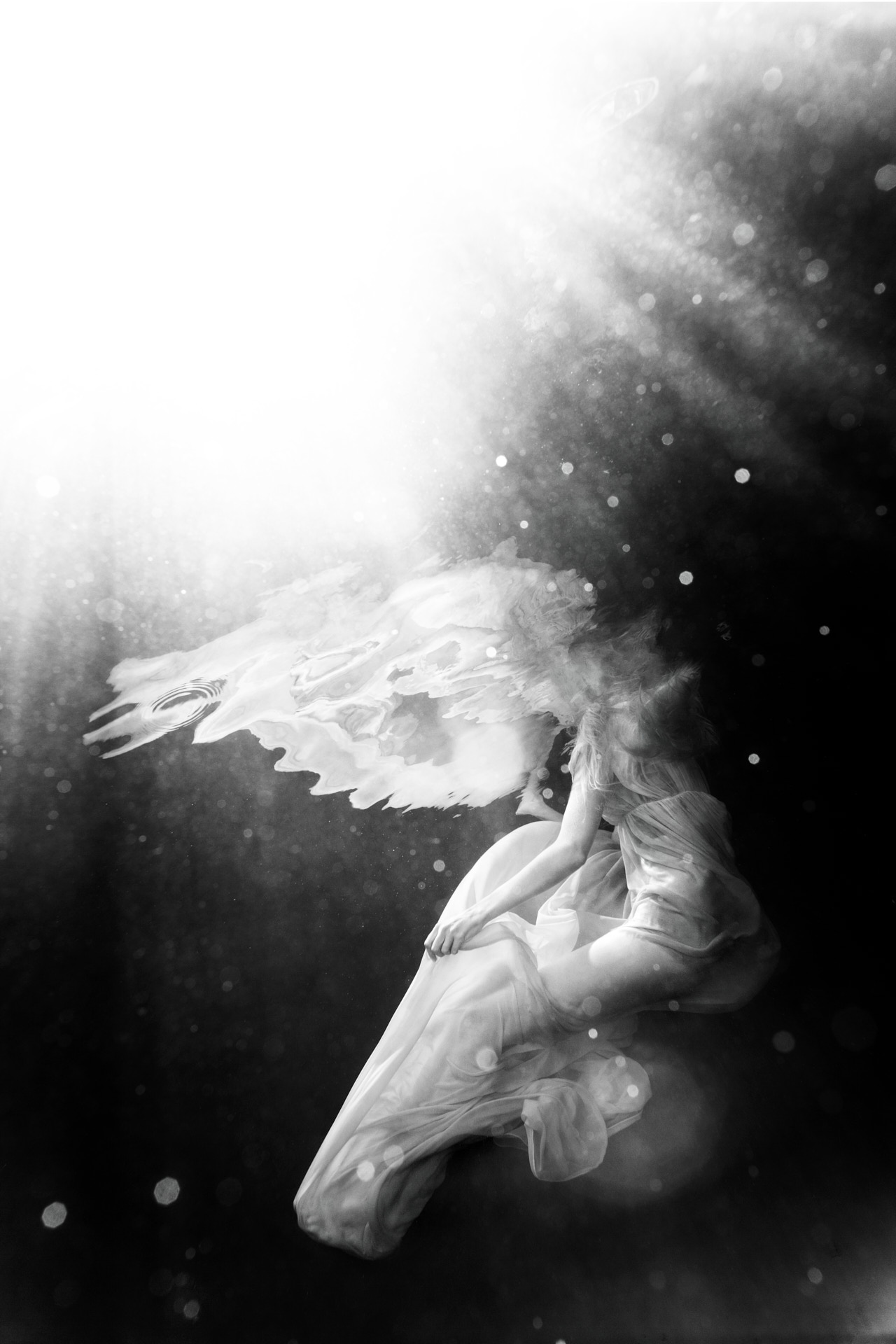 MICHAEL MULLER (* 1970) Omega of the Alpha, Los Angeles 2006 MICHAEL MULLER (* 1970) Omega of the Alpha, Los Angeles 2006