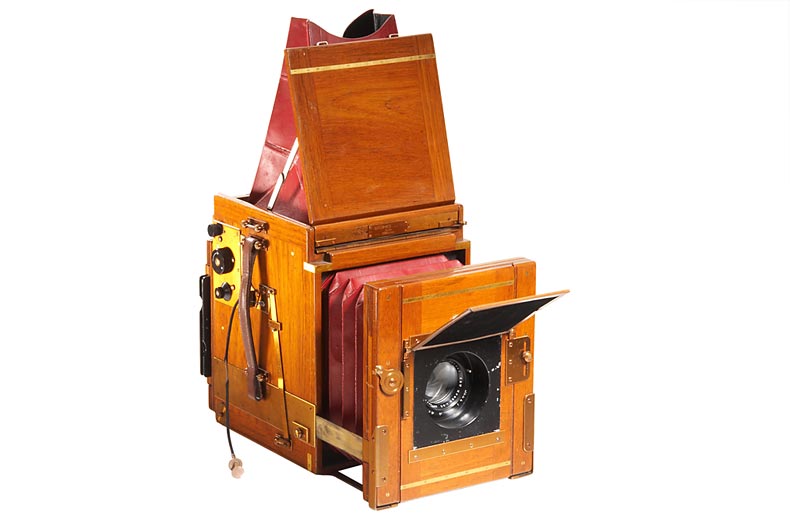 Soho London  Tropical Reflex