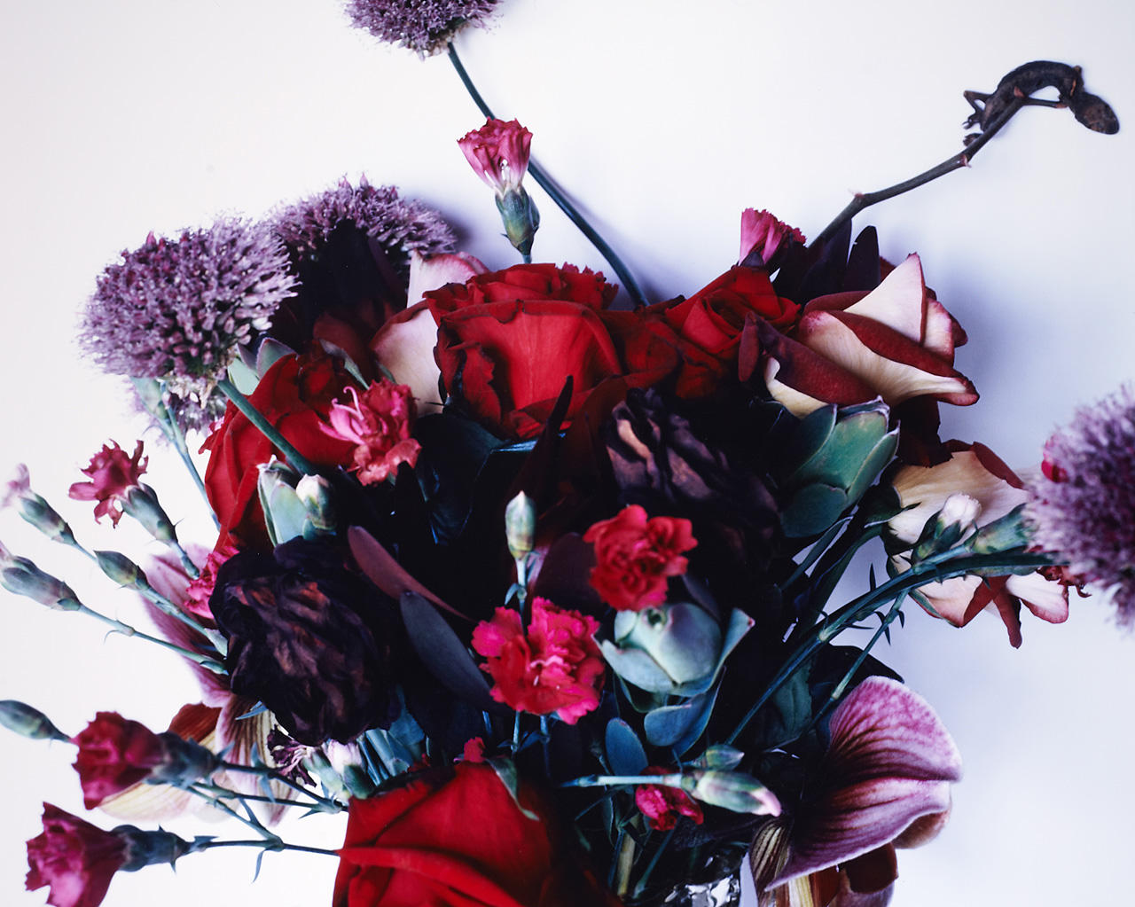 NOBUYOSHI ARAKI (* 1940) Flowers and Jamorinsky, 2005