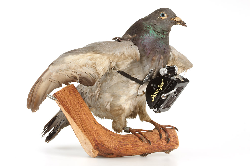 Neubronner's Doppel-Sport Pigeon-Camera 'Replica'