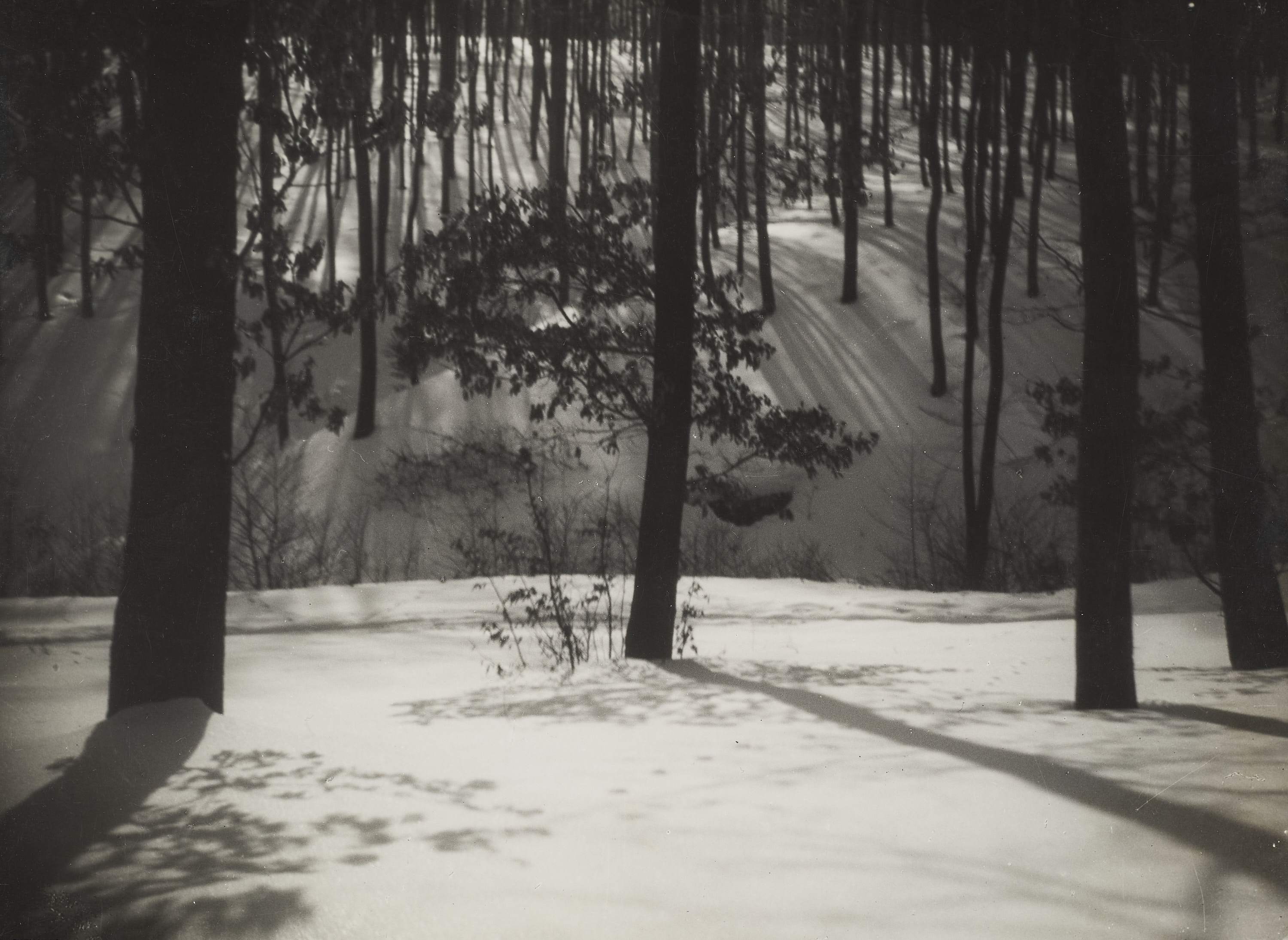 RUDOLF KOPPITZ (1884–1936) - Winter at Wienerwald, Vienna 1923