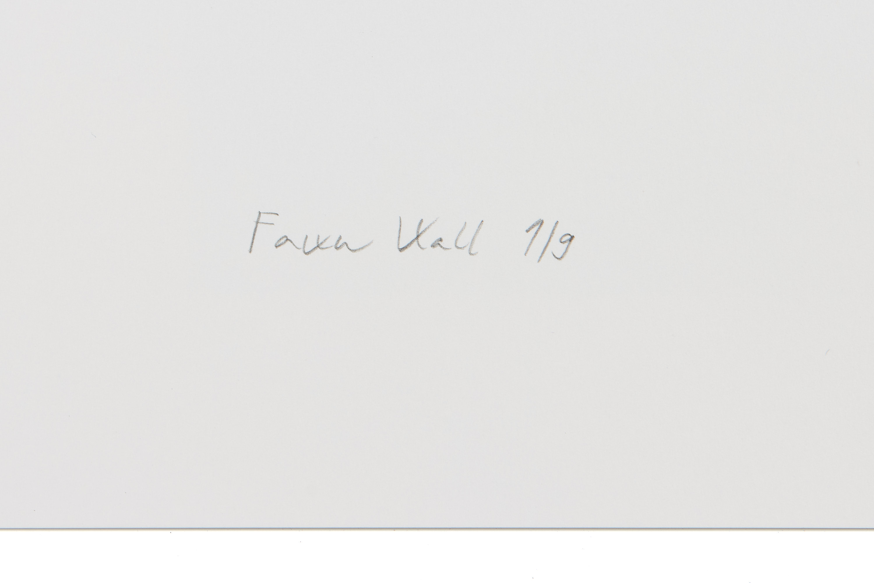 VIKI KOLLEROVÁ (*1984) - Fawn Wall, 2025
