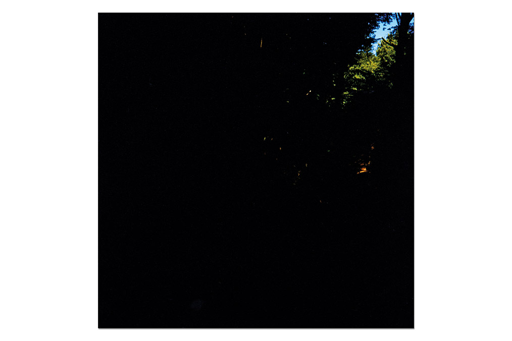 Tatiana Lecomte (*1971), "Wald 5/6"