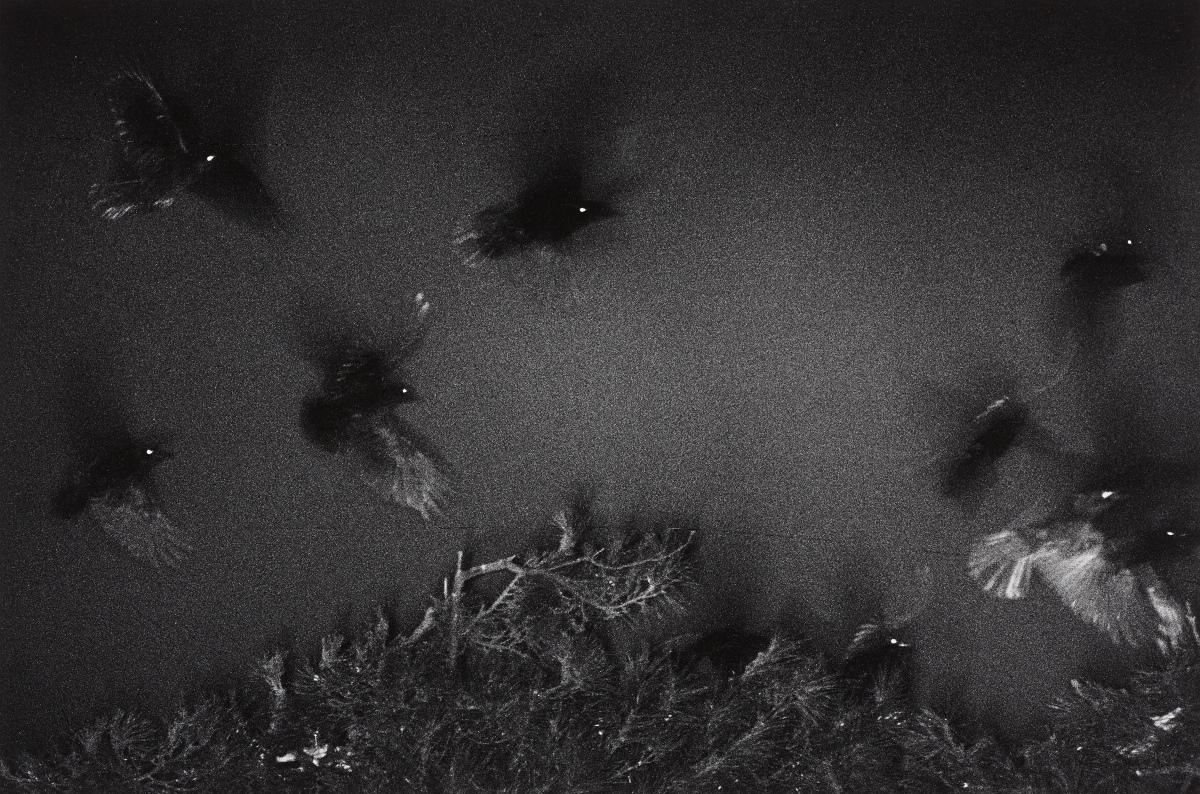 MASAHISA FUKASE (1934–2012) Kanazawa, 1977