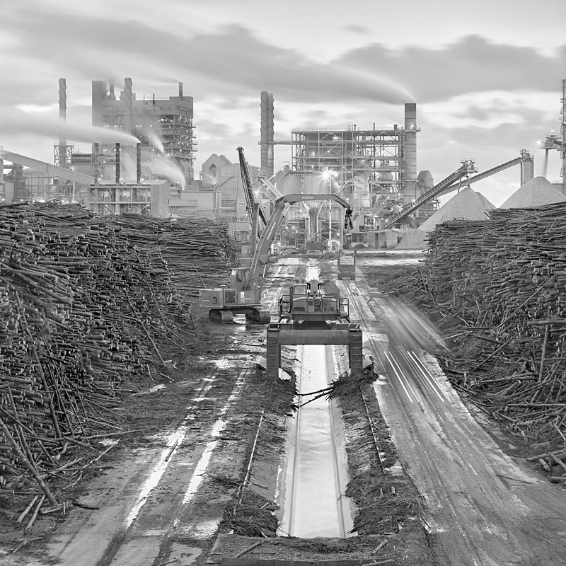 Phillip Jones (* 1951), ›Paper Mill‹