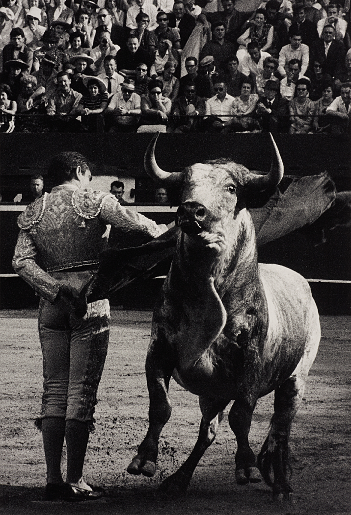 LUCIEN CLERGUE (* 1934) Bull fight, 1963