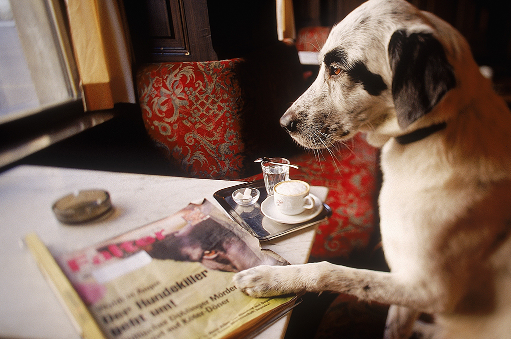 TONI ANZENBERGER (* 1969) ‘Kommissarpecorino’, Vienna 2000