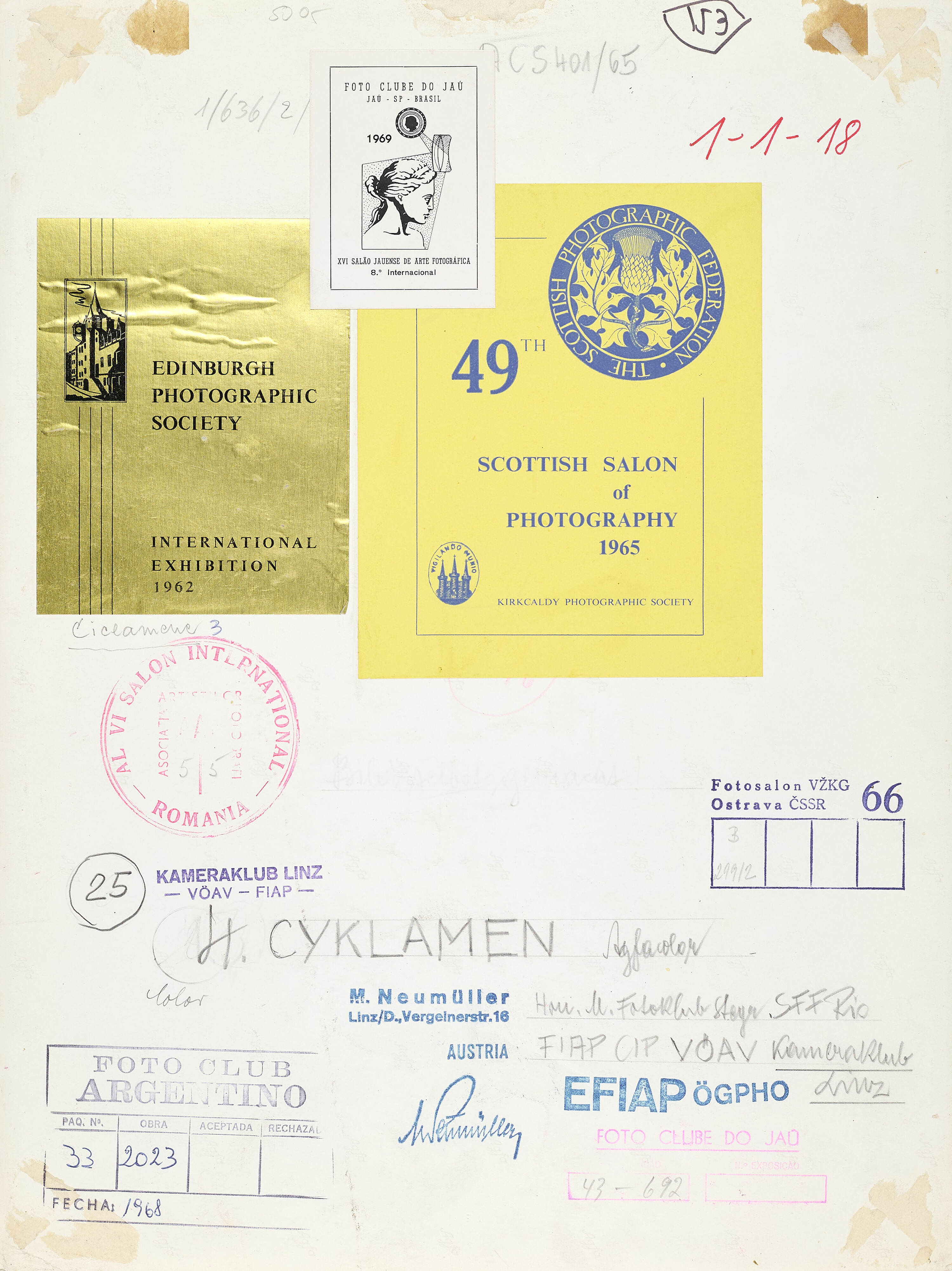 MICHAEL NEUMÜLLER (1891–1980) - Cyklamen, 1961