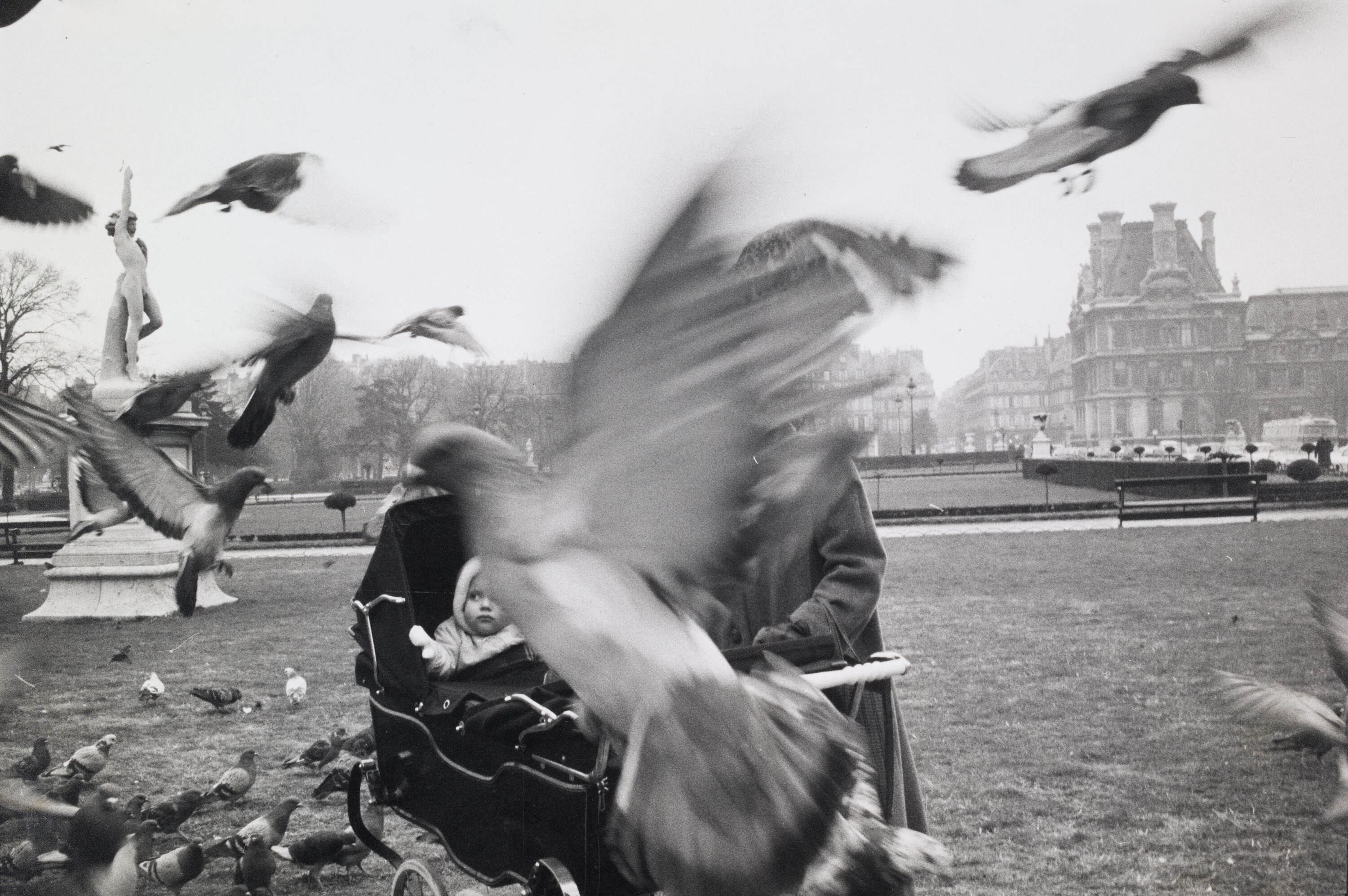 BRUCE DAVIDSON (* 1933) - Pigeons, Paris 1962