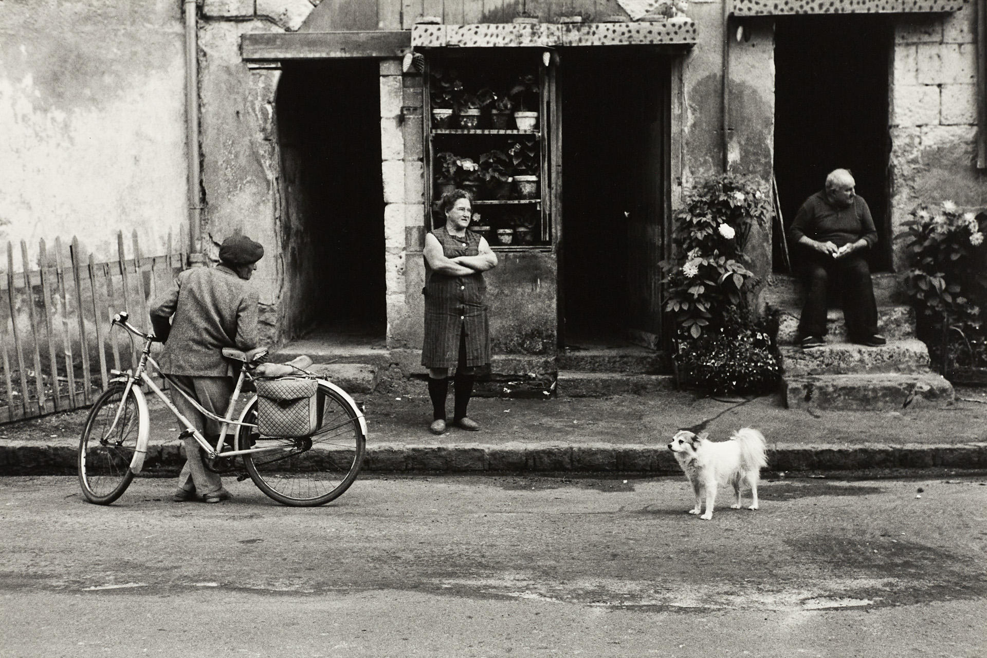 ELLIOTT ERWITT (* 1928) Loire Valley, France 1972