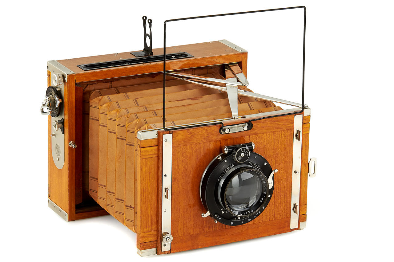 Contessa Nettel Deckrullo-Nettel Tropical *