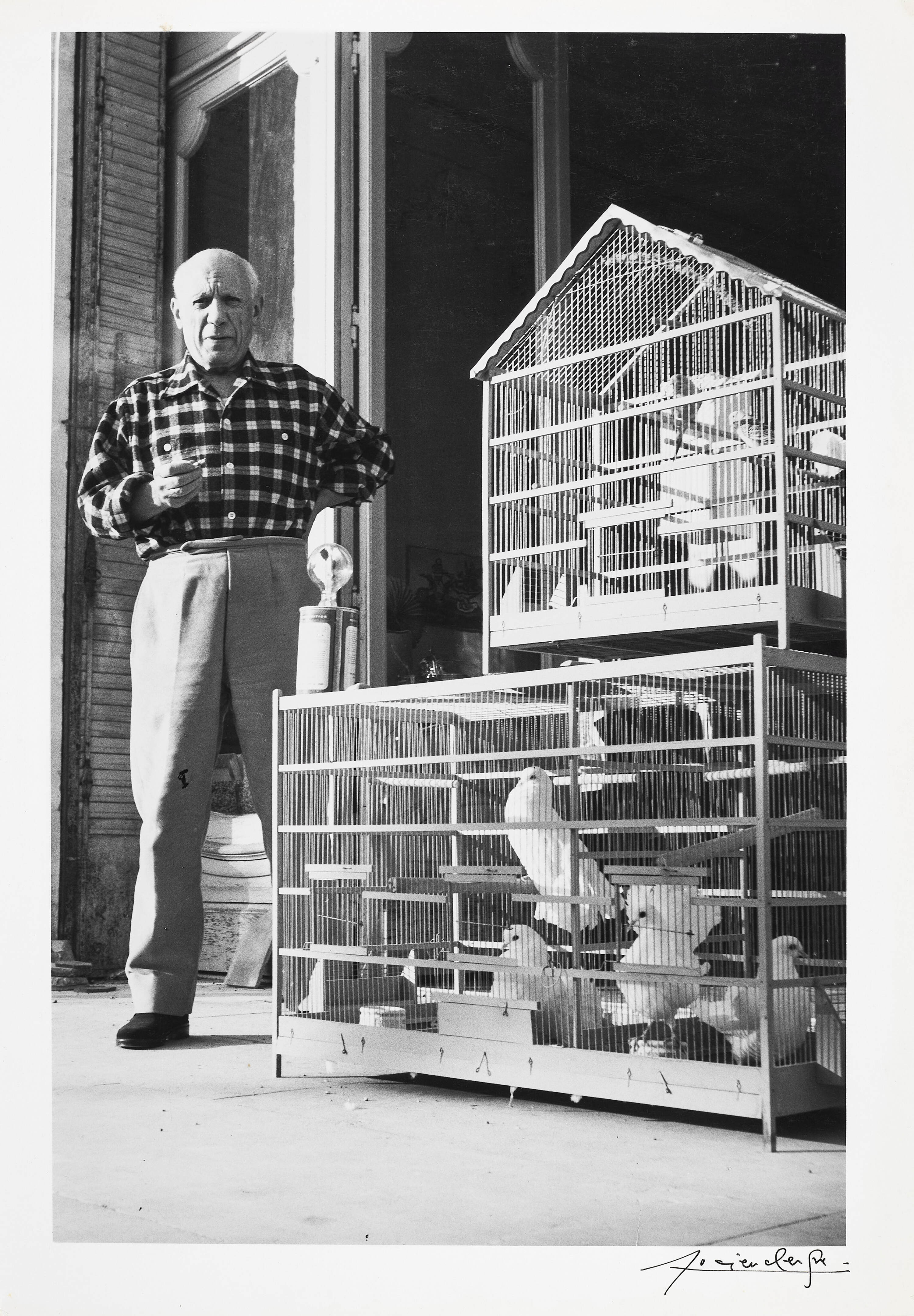 LUCIEN CLERGUE (1934–2014) - Pablo Picasso with doves, Cannes 1954