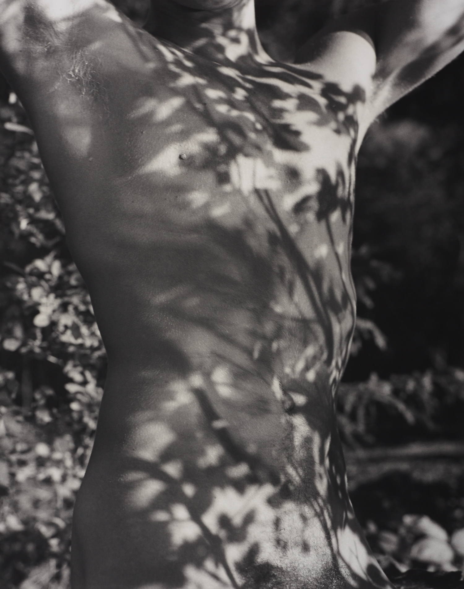 BRUCE WEBER (* 1946) ‘Tyke, Long Pond, Adirondack Park NY’, 1988