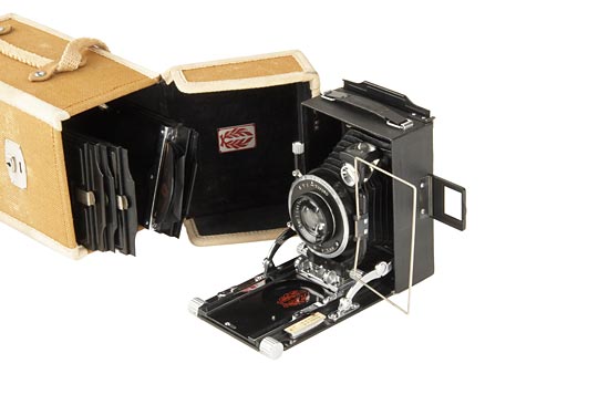 R.Konishi & Co. Lily 'Military'