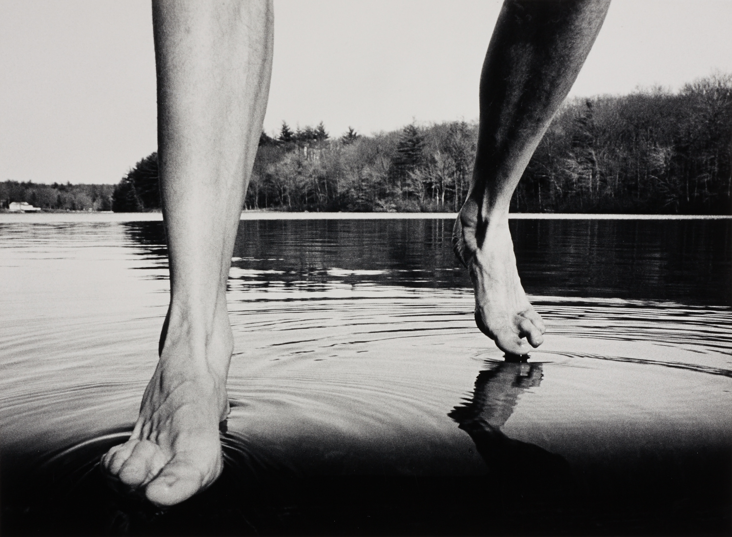 ARNO RAFAEL MINKKINEN (* 1945) ‘Black Pond’, Connecticut 1974 ARNO RAFAEL MINKKINEN (* 1945) ‘Black Pond’, Connecticut 1974