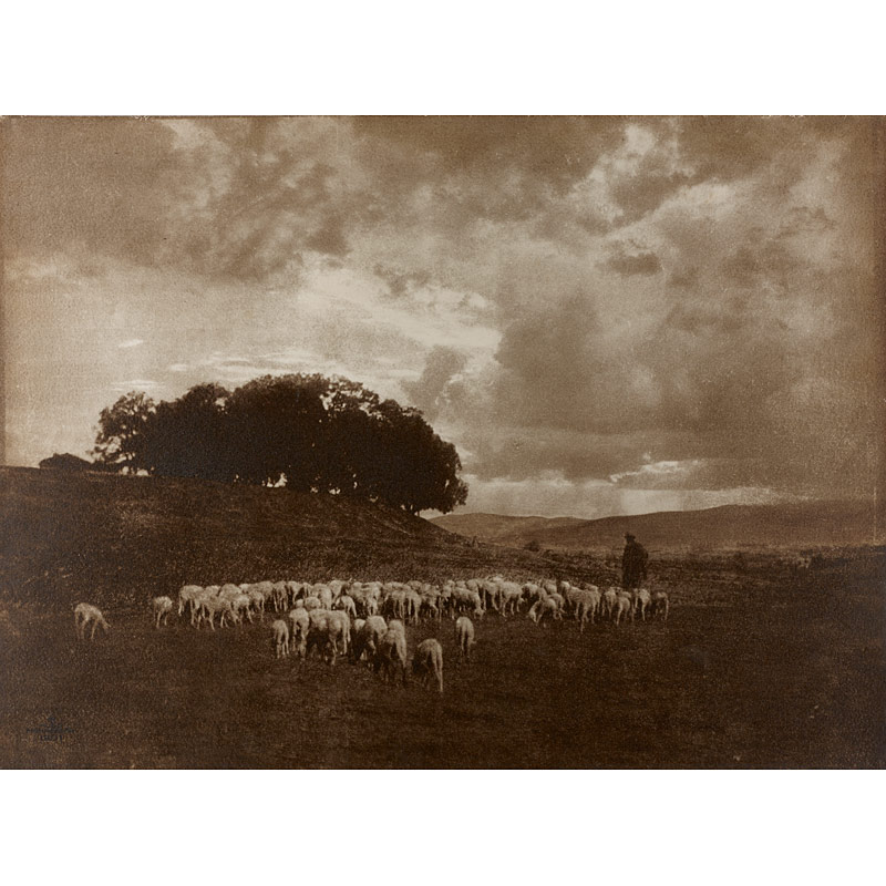 Hugo Henneberg (1863–1918), ›Landschaft mit Schafen‹