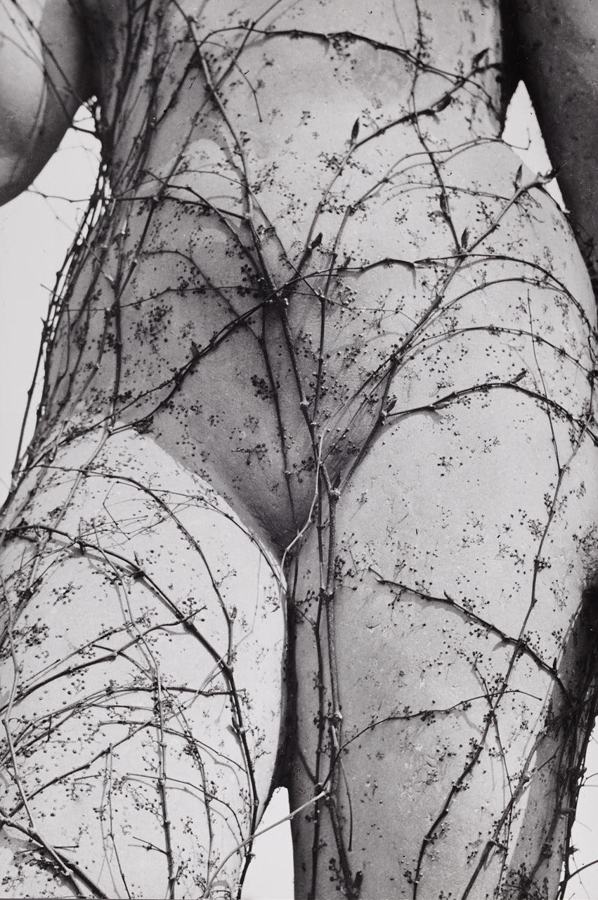 VILÉM REICHMANN (1908–1991) ‘Osidla’ (Embracement), 1940