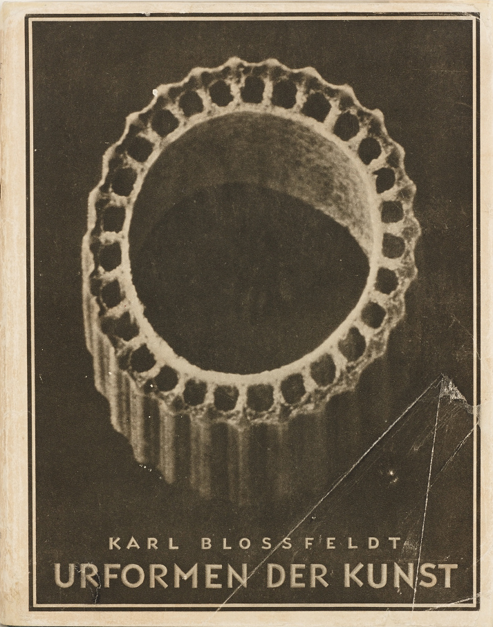 KARL BLOSSFELDT (1865–1932) ‘Urformen der Kunst’  (Archetypal Forms of Art), Berlin: Verlag Ernst Wasmuth A.G., 1929 KARL BLOSSFELDT (1865–1932) ‘Urformen der Kunst’  (Archetypal Forms of Art), Berlin: Verlag Ernst Wasmuth A.G., 1929