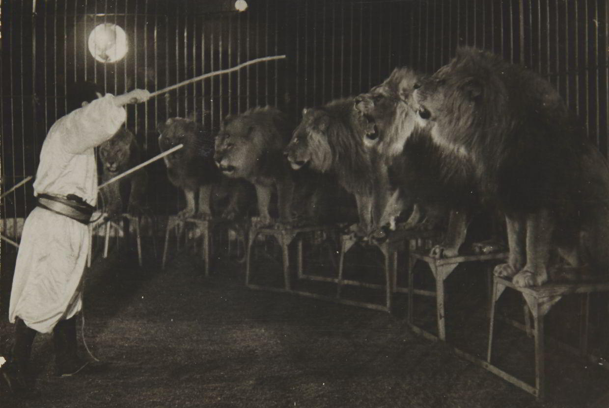 ALEXANDER RODCHENKO (1891–1956) Löwen in der Manege / Lions in the circus ring, Moscow 1939/40 ALEXANDER RODCHENKO (1891–1956) Löwen in der Manege / Lions in the circus ring, Moscow 1939/40