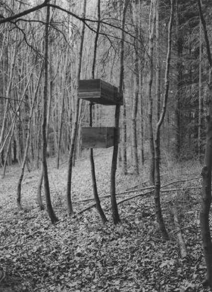 Luftsarg', Ani Asvazadurian (* 1982)