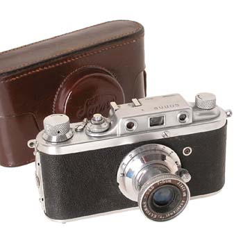 Gatto Sonne V + 3.5/5cm