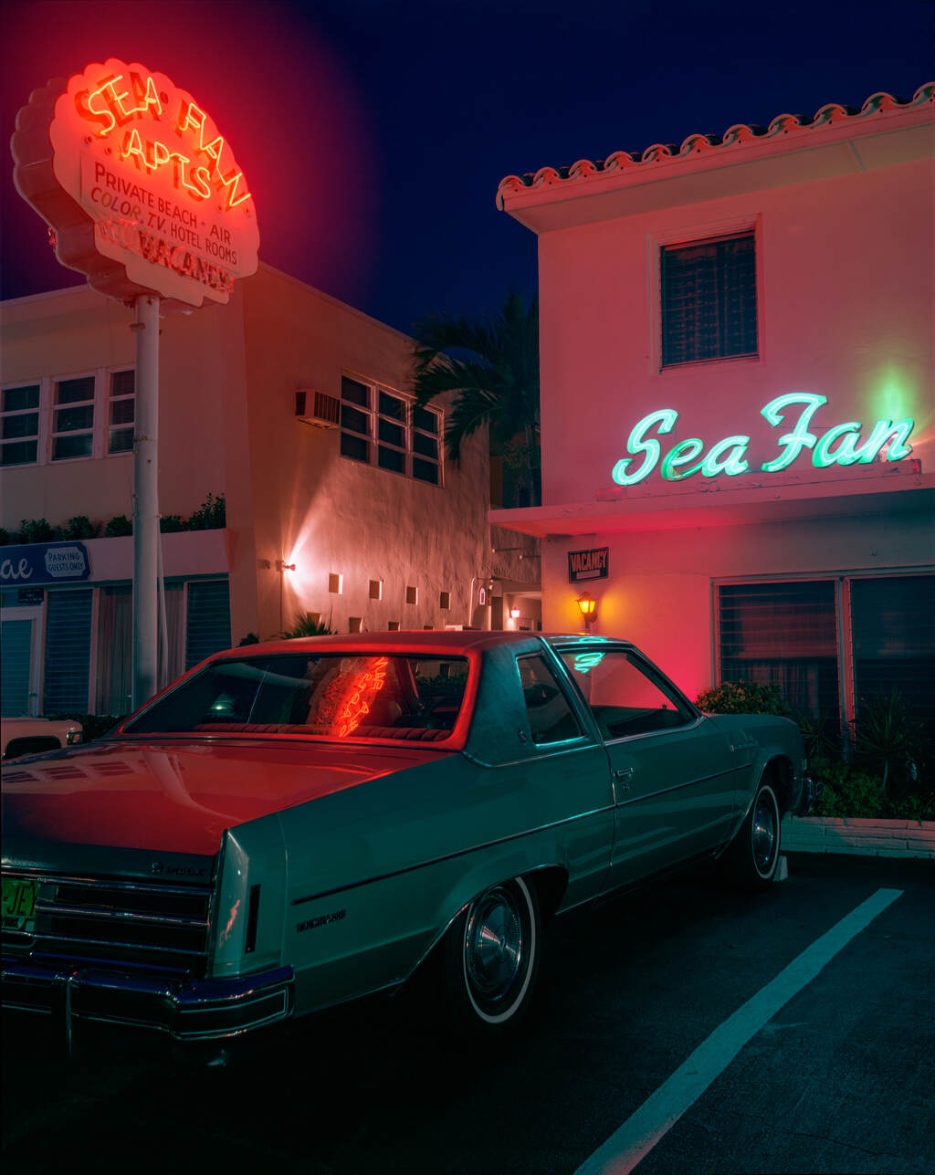 JOEL MEYEROWITZ (*1938) - Florida, 1978*