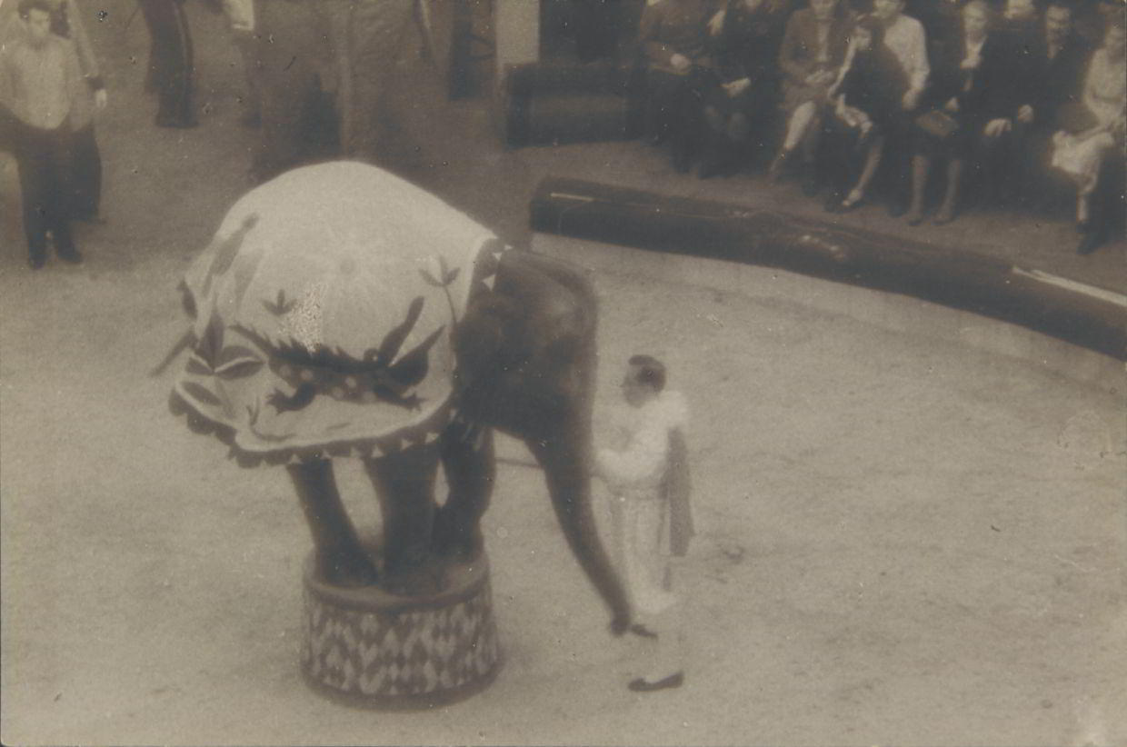 ALEXANDER RODCHENKO (1891–1956) Zirkuselefant / Circus elephant, Moscow 1939