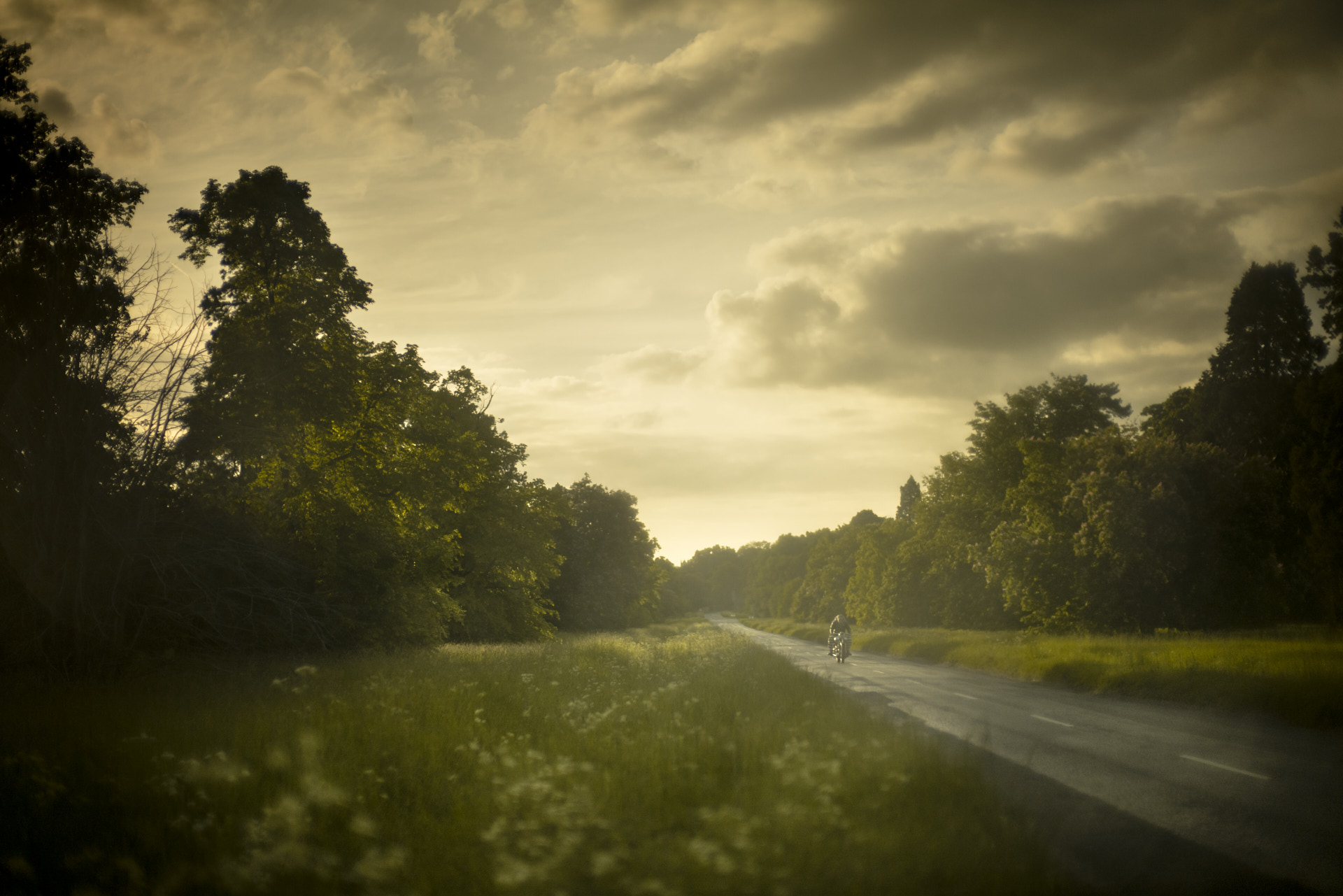 TODD HIDO (* 1968) - #12100-1010344 (from the series "On the Roam"),  2022*