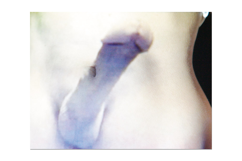 Selina de Beauclair (*1974), "Navellierung 1", "Navellierung 2"