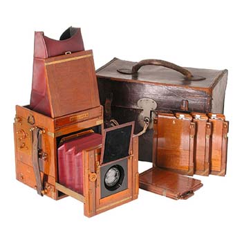 Marion & Co.  Soho Tropical Reflex