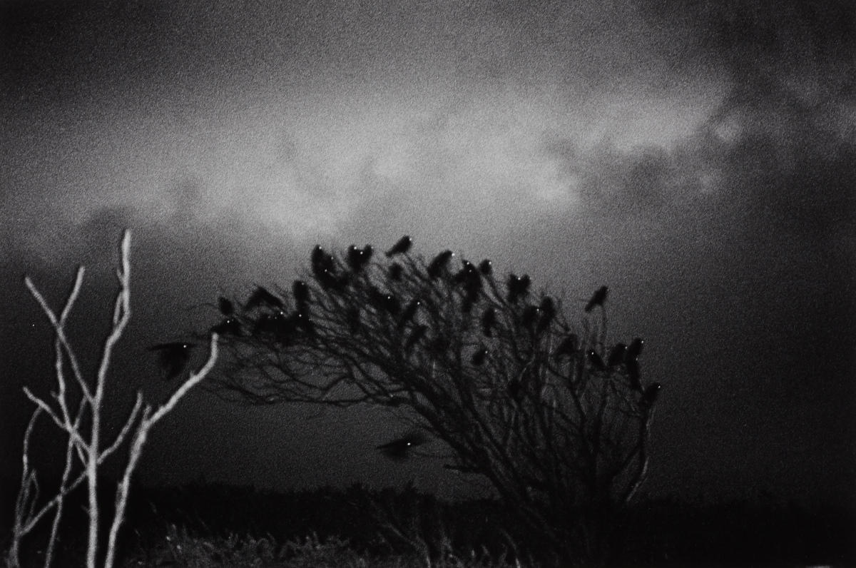 MASAHISA FUKASE (1934–2012) Wakkanai, 1978 MASAHISA FUKASE (1934–2012) Wakkanai, 1978