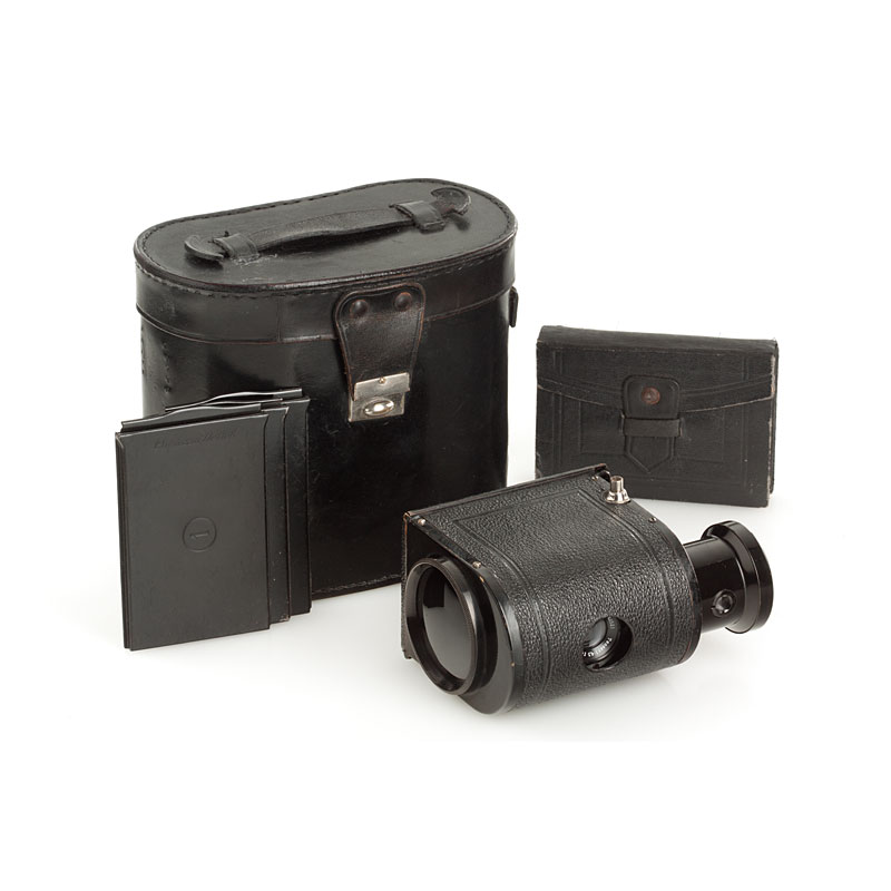 Contessa  Nettel Ergo Contessa  Nettel Ergo