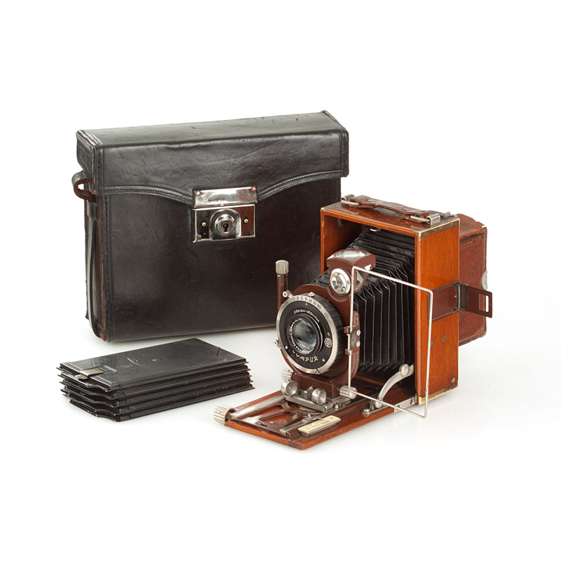 Rokuoh Sha Lily 'Tropical' Rokuoh Sha Lily 'Tropical'